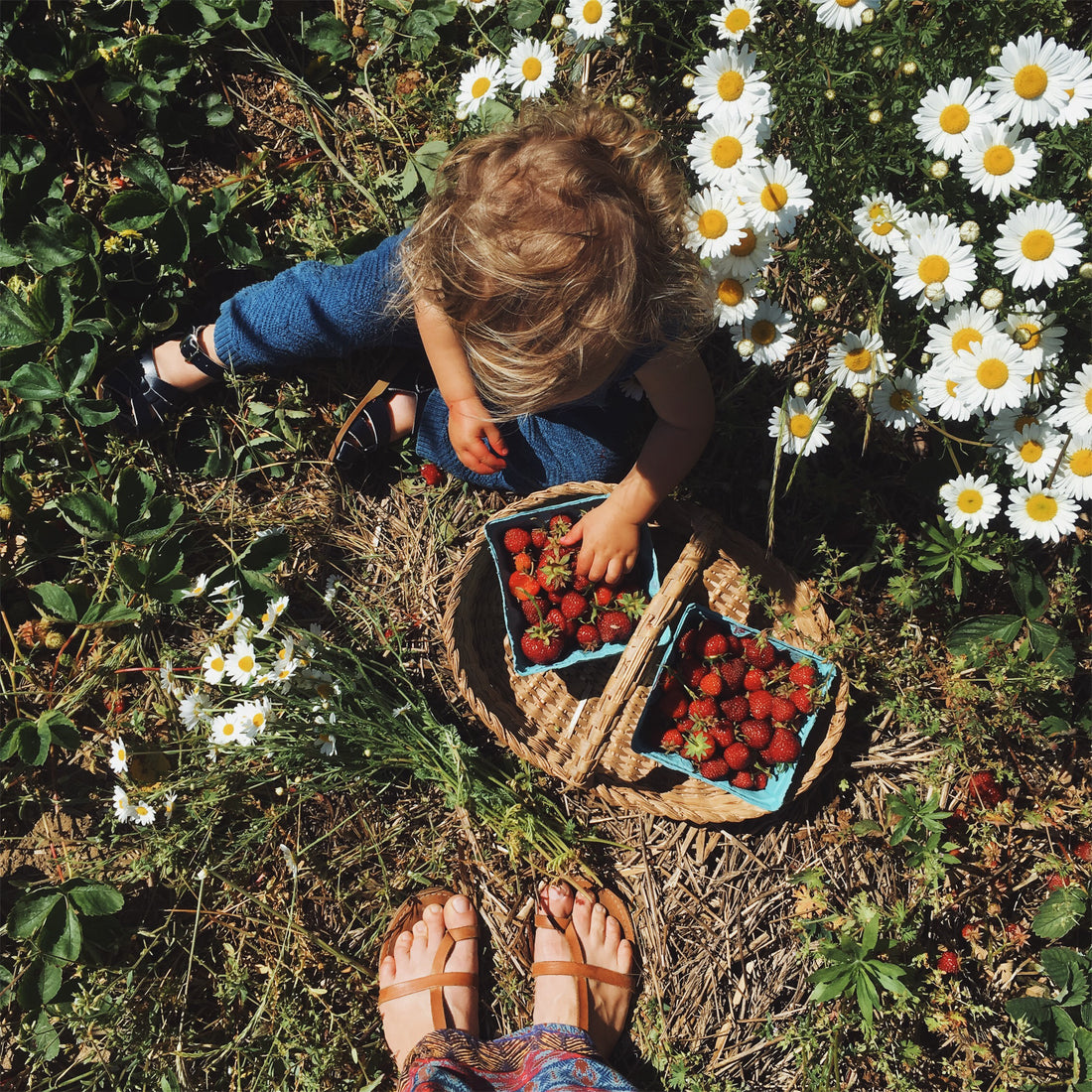 Travel Guide: Nantucket