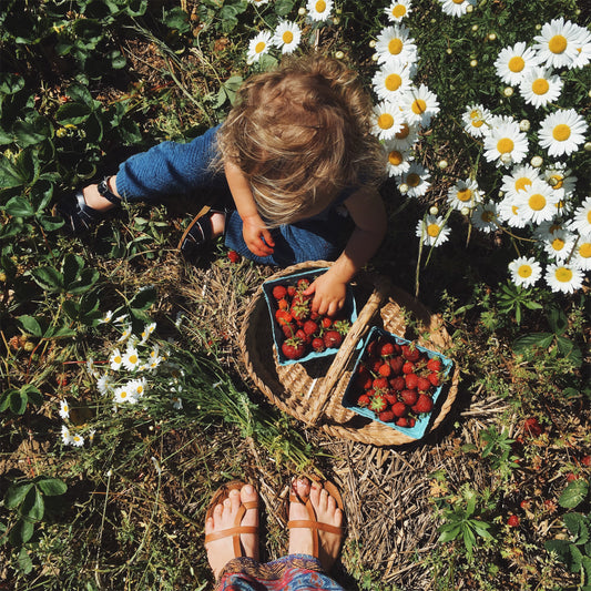 Travel Guide: Nantucket