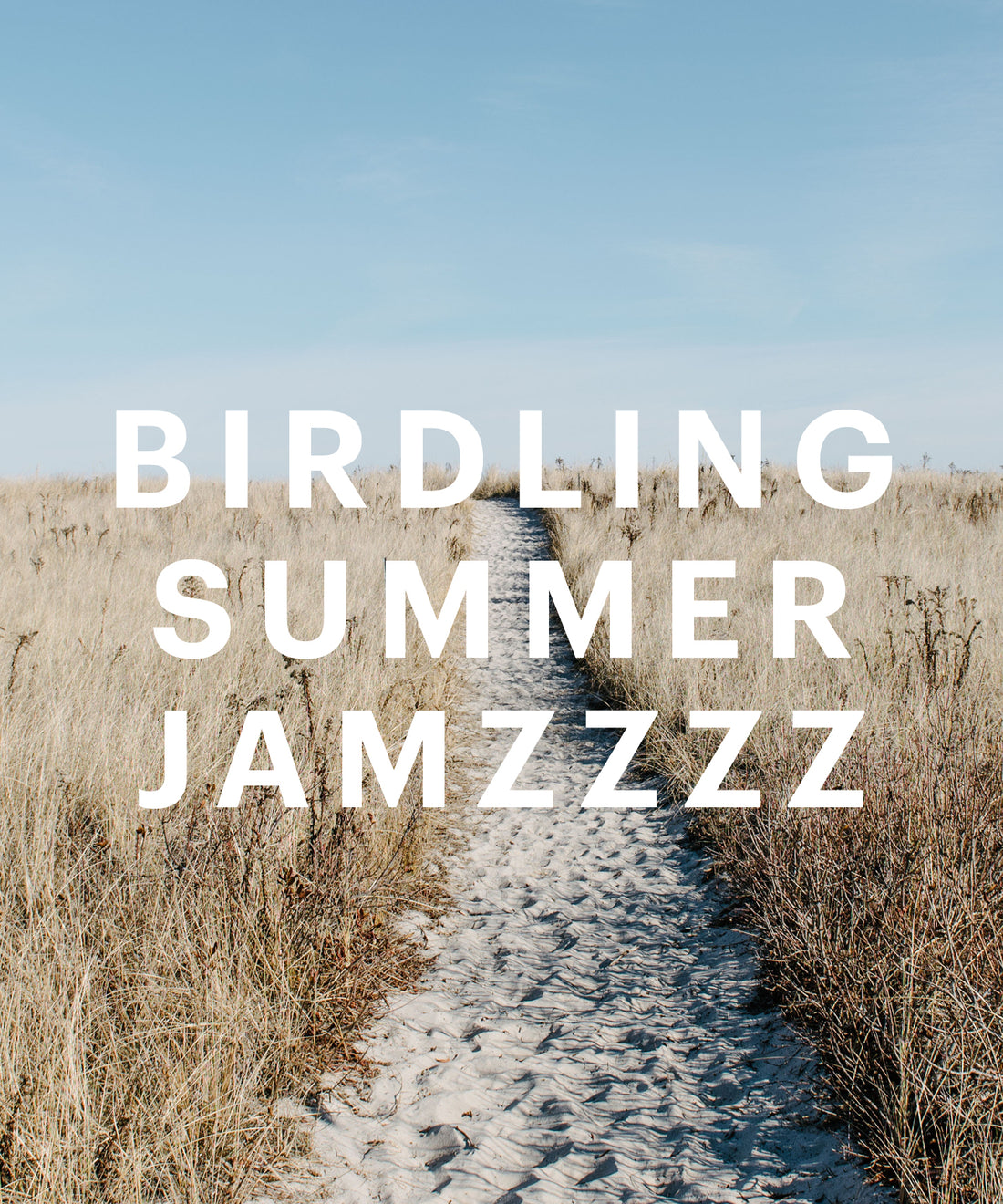 Summer Jamzzzz Playlist